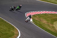 donington-no-limits-trackday;donington-park-photographs;donington-trackday-photographs;no-limits-trackdays;peter-wileman-photography;trackday-digital-images;trackday-photos